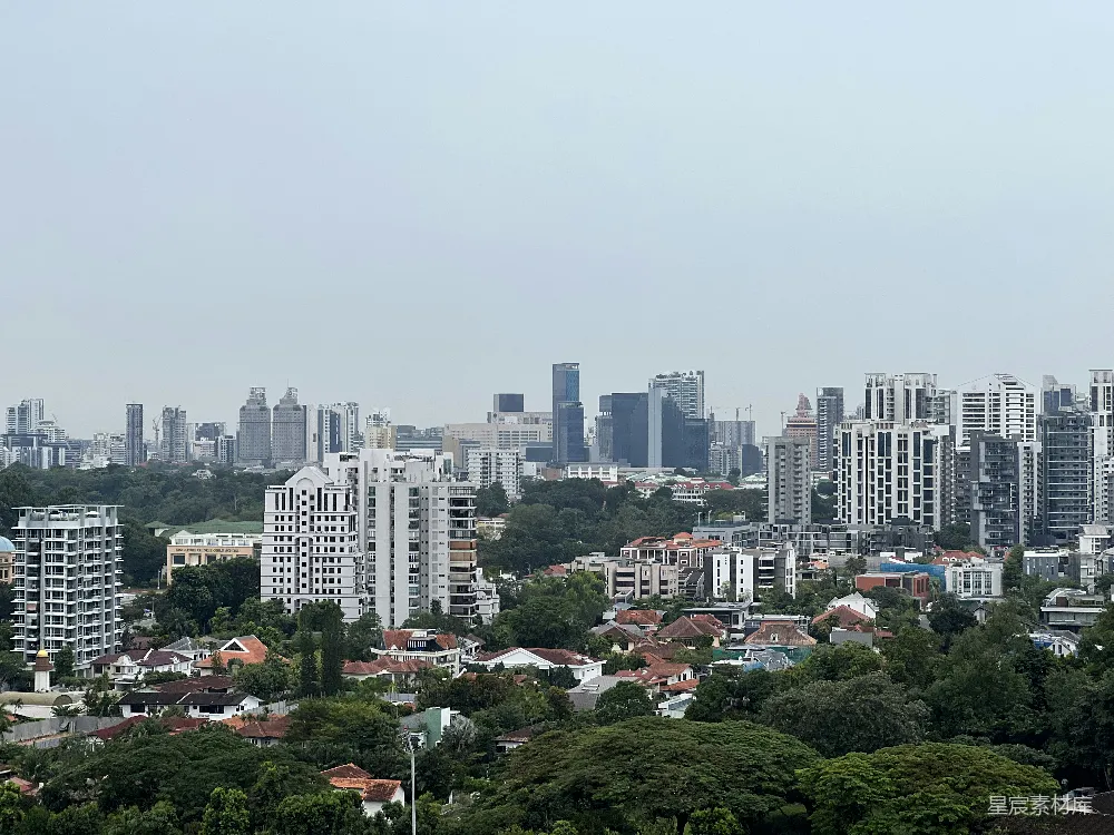这张图片展示了新加坡的城市全景，前景是郁郁葱葱的绿色植物和低矮的住宅区，背景是现代化的高楼大厦，形成了鲜明的对比。天空阴沉，整个画面给人一种宁静而现代的感觉。适合用于城市规划、自然与建筑的对比展示或新加坡旅游宣传。