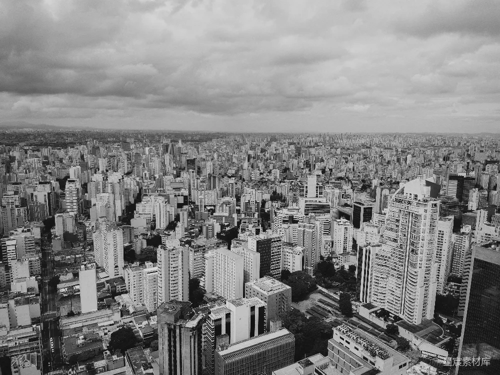 高清摄影 城市 建筑 黑白 景观 都市 黑白城市的全景