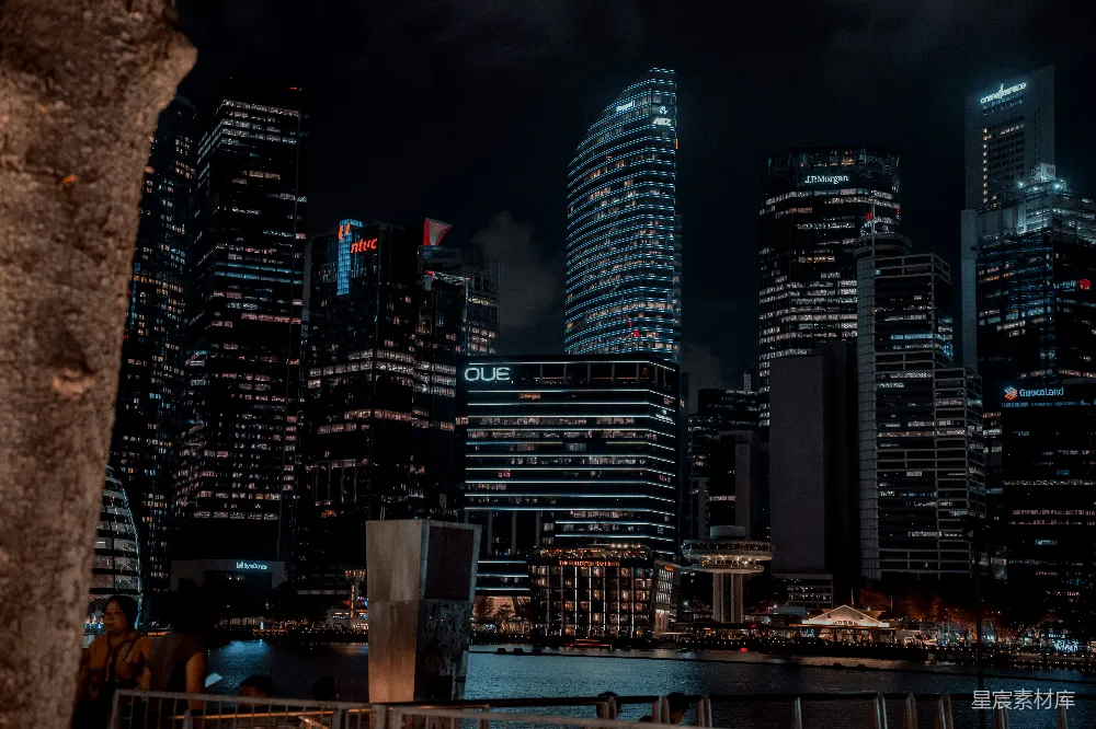 这张照片展示了新加坡的夜景，高楼大厦灯火辉煌，反射在水面上，形成美丽的倒影。前景中可以看到一些行人，增加了画面的生动感。背景中的建筑物上点缀着各种广告标志，展现了城市生活的繁忙与活力。适合用作旅游宣传、城市风光展示或夜间城市探索的素材。