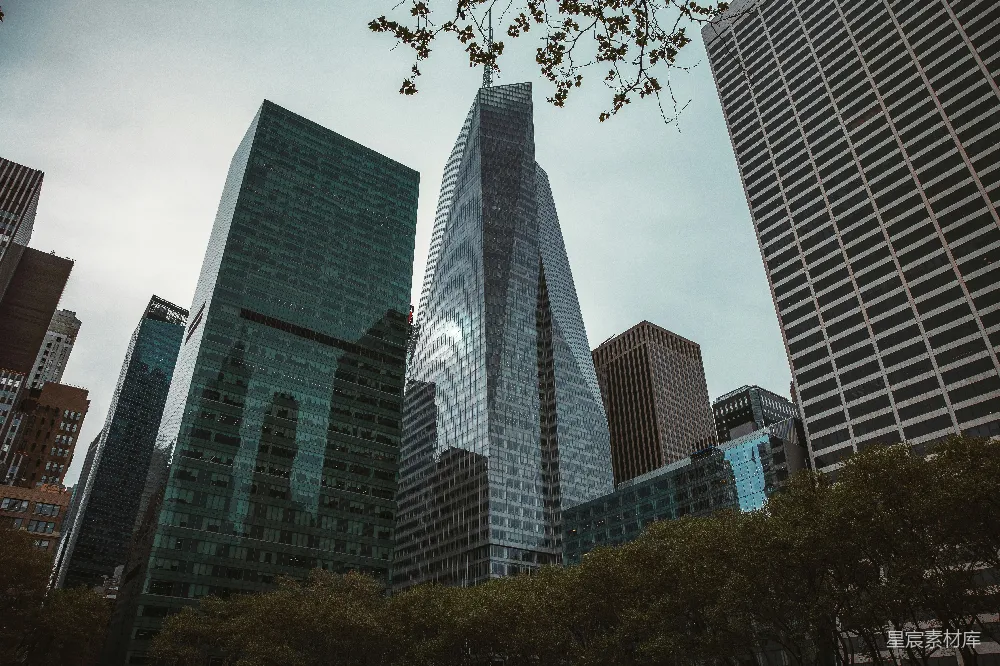 这张图片展示了现代化城市中的高楼大厦，天空中飘着薄雾，几棵树木点缀其间。建筑物的设计多样，有尖顶的、矩形的，以及一些带有独特图案的。整体色调偏冷，透露出一种现代都市的冷峻与繁华。适合用于商业、城市规划或建筑设计相关的展示。