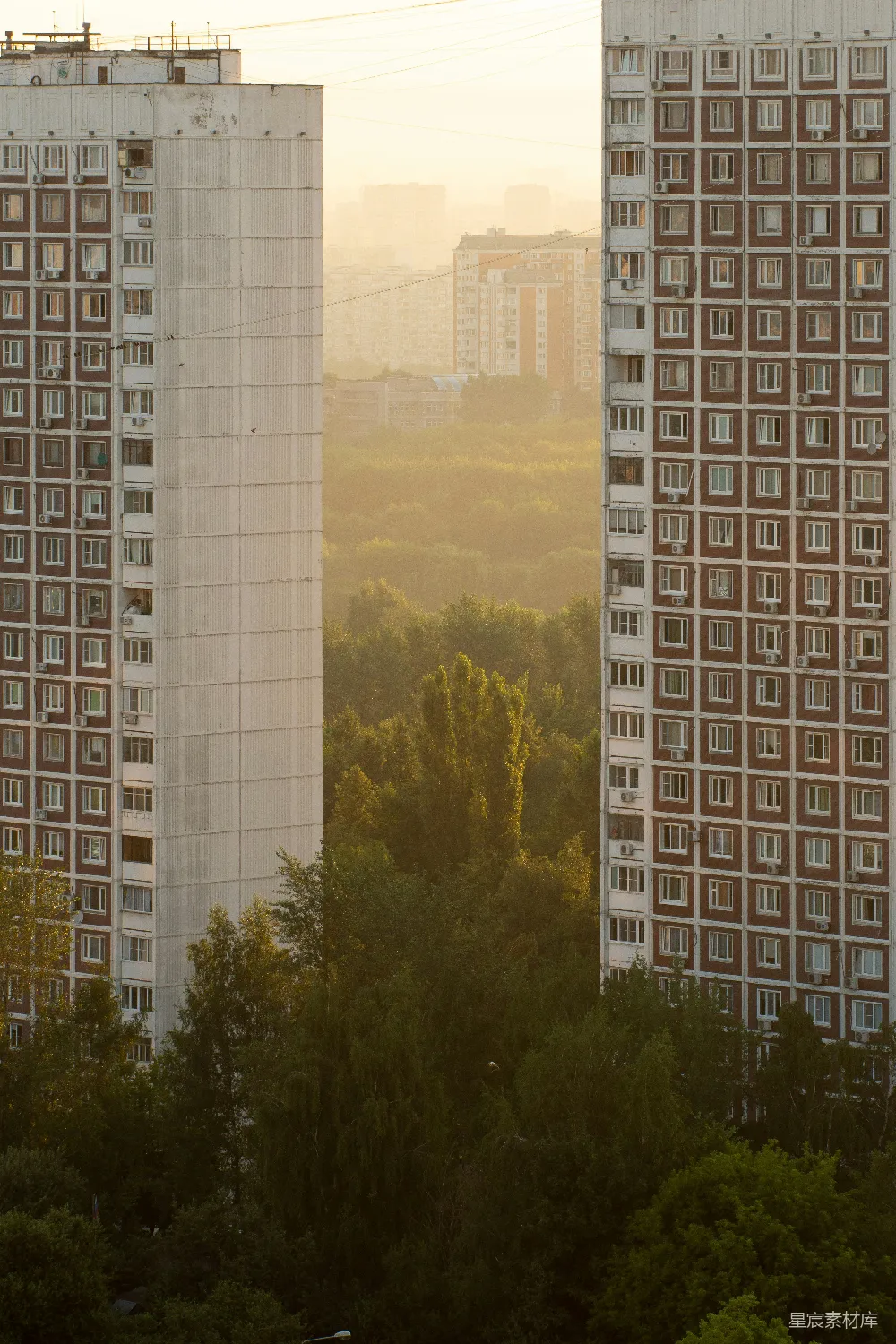 这张图片展示了两栋高耸的住宅楼之间的绿色植物，夕阳的余晖洒在建筑和树木上，形成了一幅城市与自然和谐共存的美丽画面。高楼的坚毅与绿树的柔美相互映衬，展现了城市中自然环境的珍贵。适合用作城市生活、自然与建筑、日落等主题的背景或封面图片。