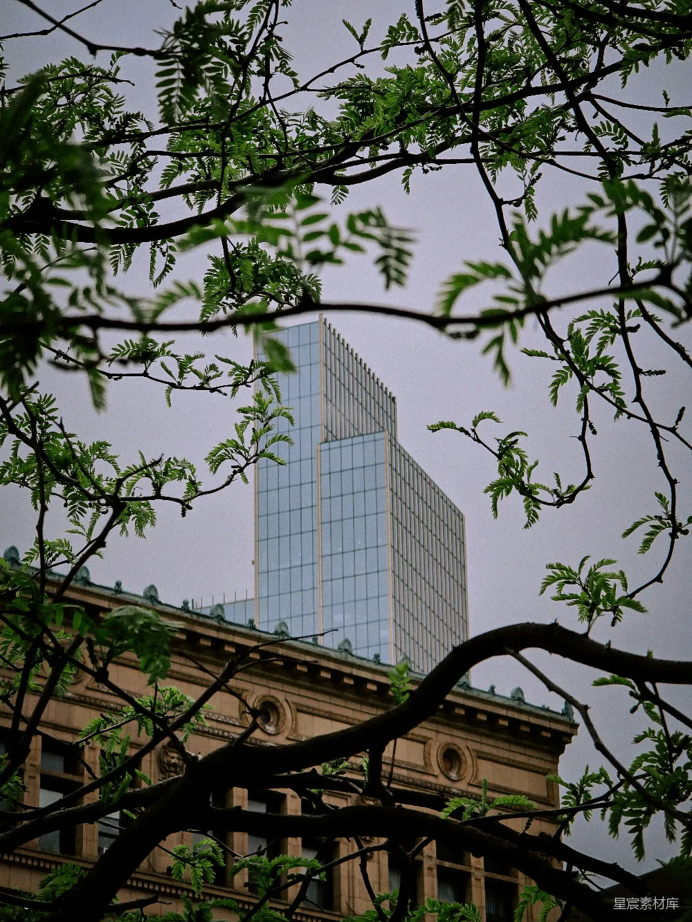 这张图片展示了城市与自然的和谐共处。前景中的树枝和树叶为画面增添了自然的气息，背景则是现代都市的高楼大厦，形成了一种独特的视觉对比。这种场景常见于城市的公共绿地或城市公园，是现代都市生活中人们放松心情、亲近自然的理想场所。