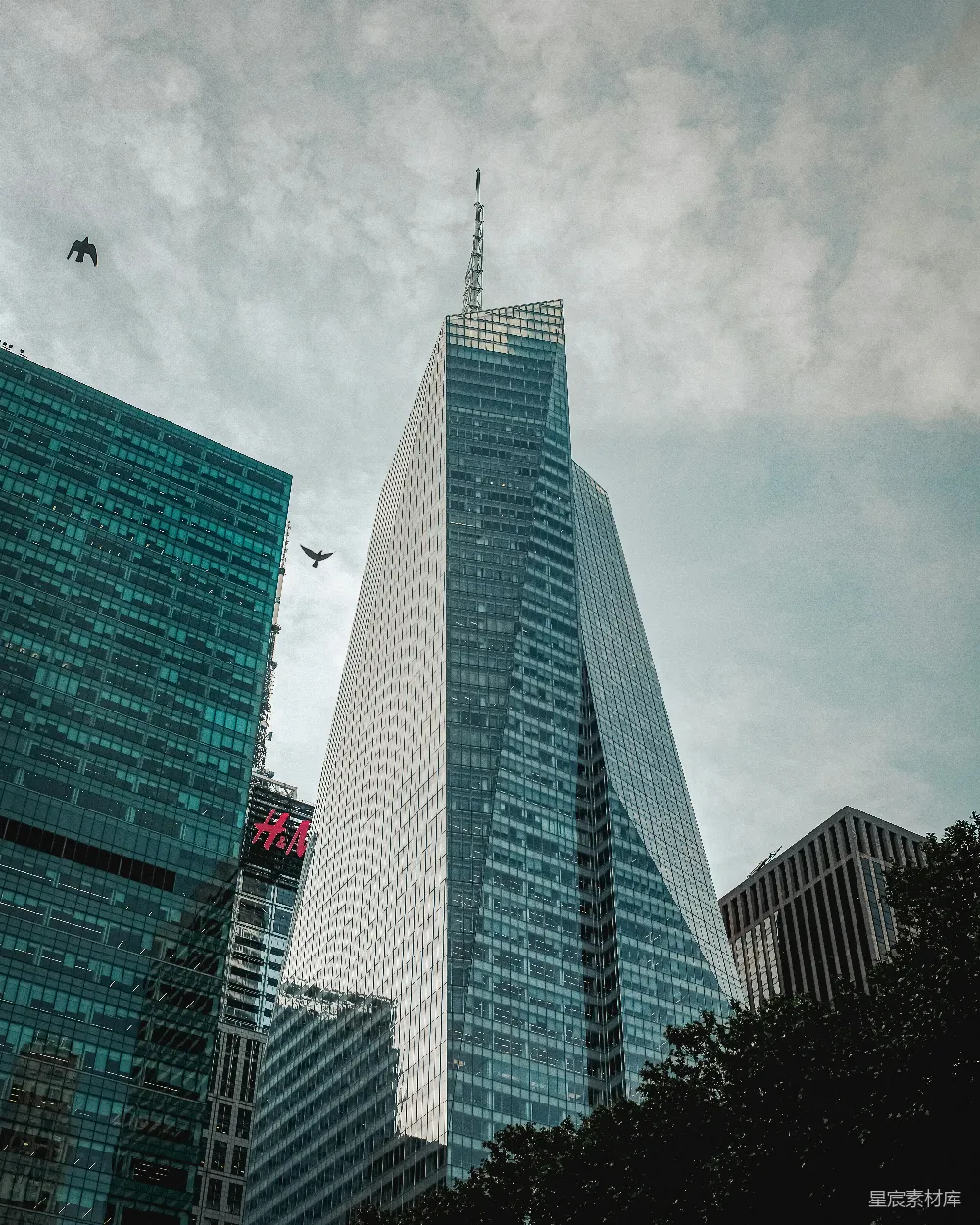 高清摄影 摩天大楼 现代建筑 城市景观 都市风光 商务中心 现代都市的摩天大楼