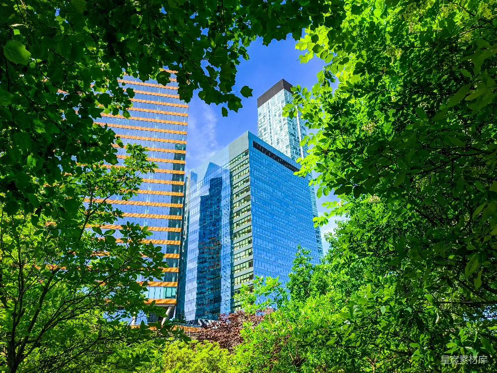 这张图片展示了高楼大厦与茂密绿树交织的城市景象。高楼的玻璃幕墙在阳光下反射出金黄的光芒，而树叶则在前景中形成了天然的框架，给人一种自然与都市和谐共存的感觉。背景中的蓝天白云更是为这幅画面增添了清新宜人的氛围。这张图片适合用于展示城市现代化与