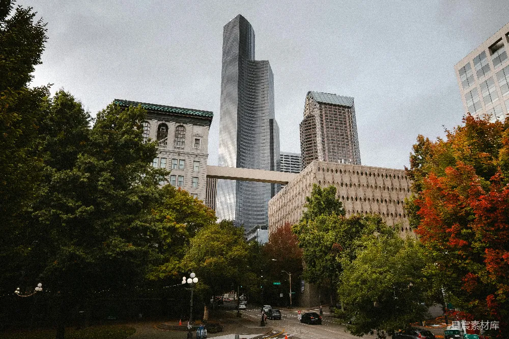 这张图片展示了城市中的高耸建筑与周围的绿色植物和谐共存的景象。前景是茂盛的树木，树叶呈现出秋季的金黄色调，给人一种温暖而宁静的感觉。背景中，现代化的高楼大厦拔地而起，与自然景观形成了鲜明的对比。天空阴沉，可能预示着即将来临的秋雨。整体风格给