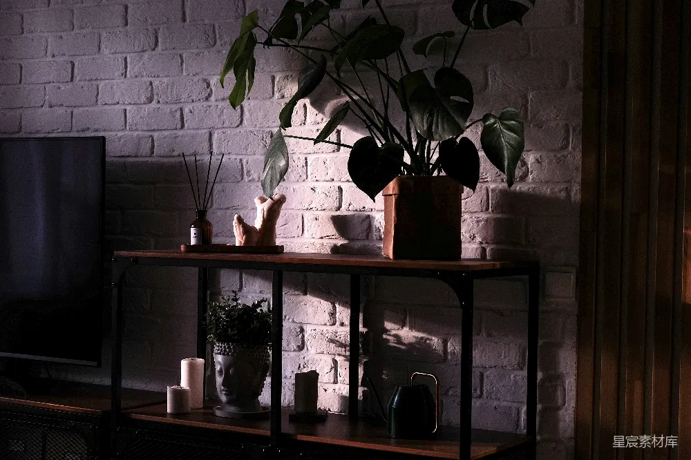 高清摄影 工业风 室内装饰 砖墙 植物 现代简约 工业风装饰柜与砖墙背景