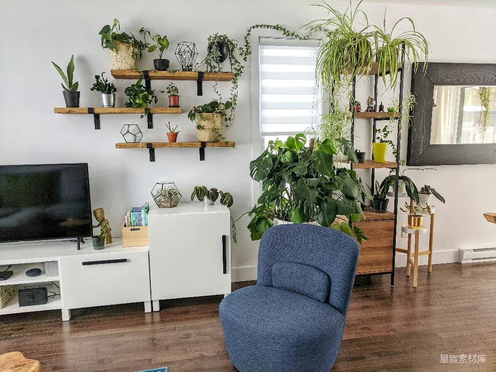 高清摄影 室内设计 植物装饰 简约现代 居家生活 绿色植物 绿意盎然的家居一角