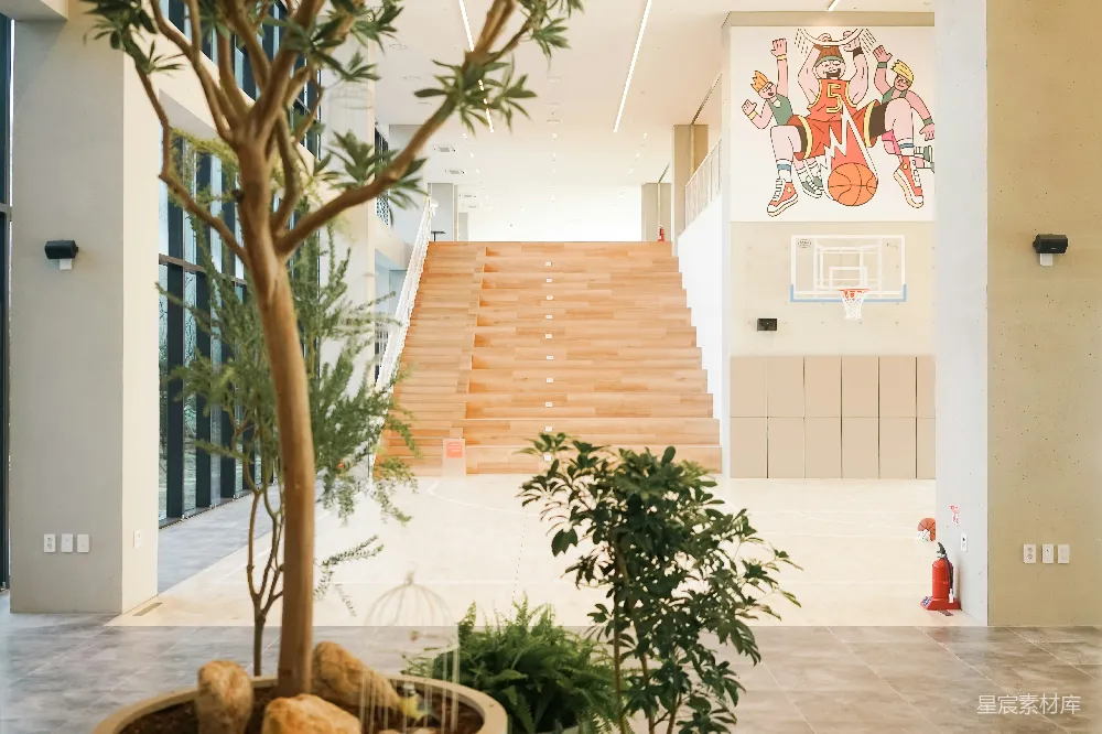 这张图片展示了一个现代建筑内部的场景。中央是一组木质楼梯，两侧是干净的墙面和现代化的灯具。楼梯上方的墙壁上装饰着色彩鲜艳的篮球主题壁画，下方是一个开放的空间，放置了一个装饰性的小鸟笼和几株绿植，营造出一种清新自然的氛围。整体设计简洁而富有活