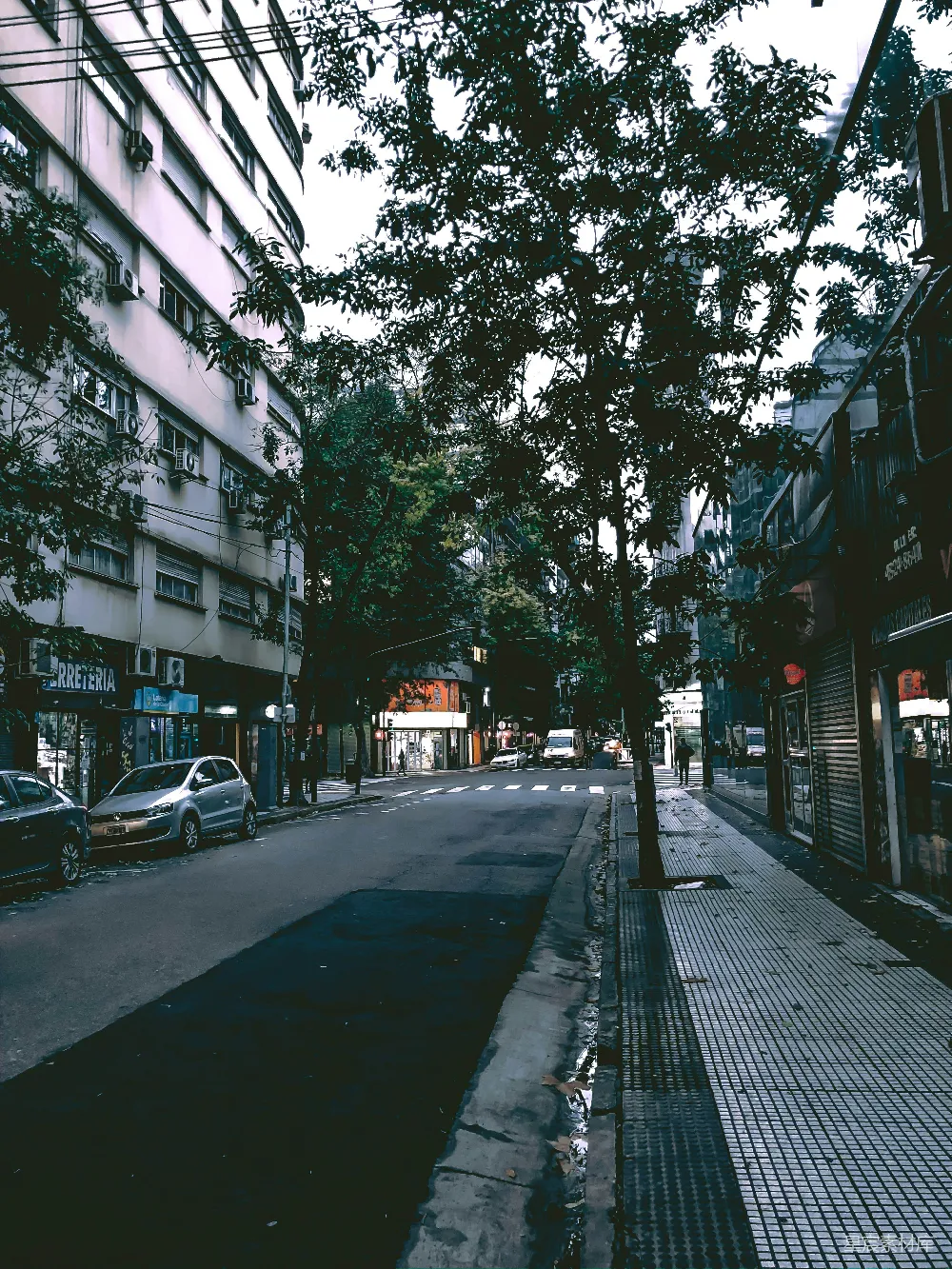 这张图片展示了城市中一条宁静的街道，两旁是现代化的建筑与茂密的树木。街道上没有行人，显得格外安静。灰色的天空与深色的树木形成对比，给人一种宁静而略带忧郁的感觉。适合用作城市生活、自然与宁静等主题的背景图片。