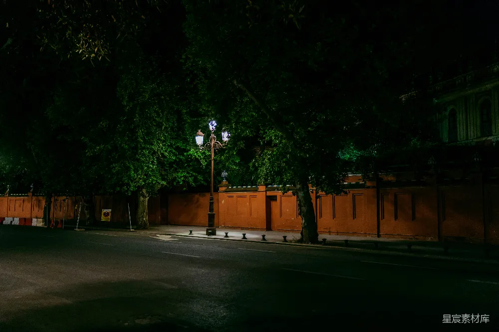 这张图片展示了一个宁静的夜晚场景，路灯昏黄的光芒洒在街道上，树木的枝叶在微风中轻轻摇曳。背景中的建筑物和围墙增添了历史感和安全感。整体氛围宁静而祥和，适合用于城市夜景或安静时光的主题。