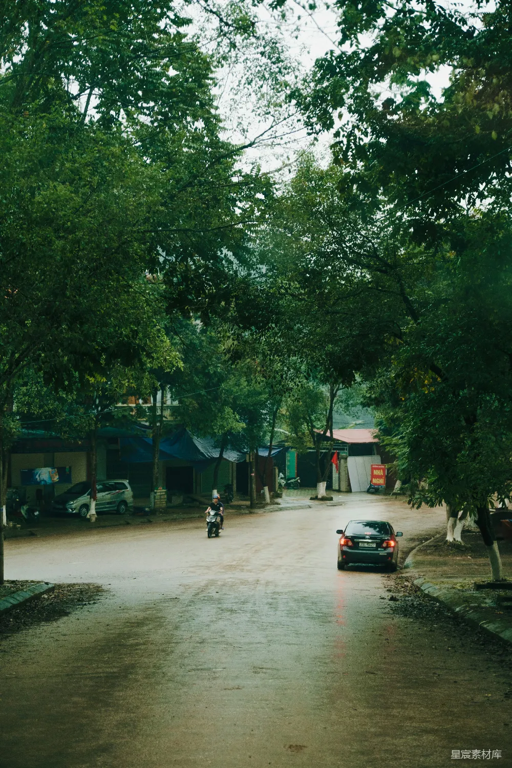 这张图片展示了一条雨后湿润的街道，树叶繁茂，光线柔和，营造出一种宁静而自然的氛围。路面上有雨水的痕迹，几辆汽车和摩托车静静地停在路边，周围是低矮的建筑物和临时搭建的棚子，给人一种平和的生活气息。适合用作自然、宁静、生活类的背景图片。