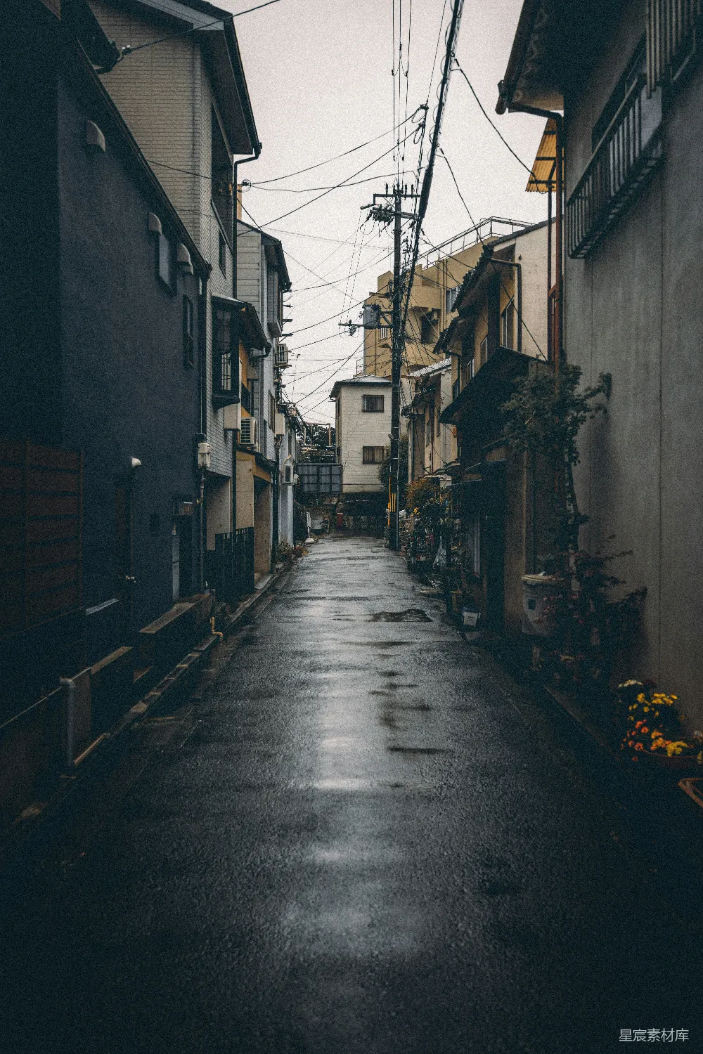 这张图片展示了一条雨后湿润的狭窄巷道，两旁是低矮的建筑，电线杆上挂着凌乱的电线。巷道的地面反射着天空的阴沉，周围点缀着几盆小花，营造出一种静谧而略带忧郁的氛围。适合用于表现城市生活中的小角落，或是表达某种孤独或怀旧的情绪。