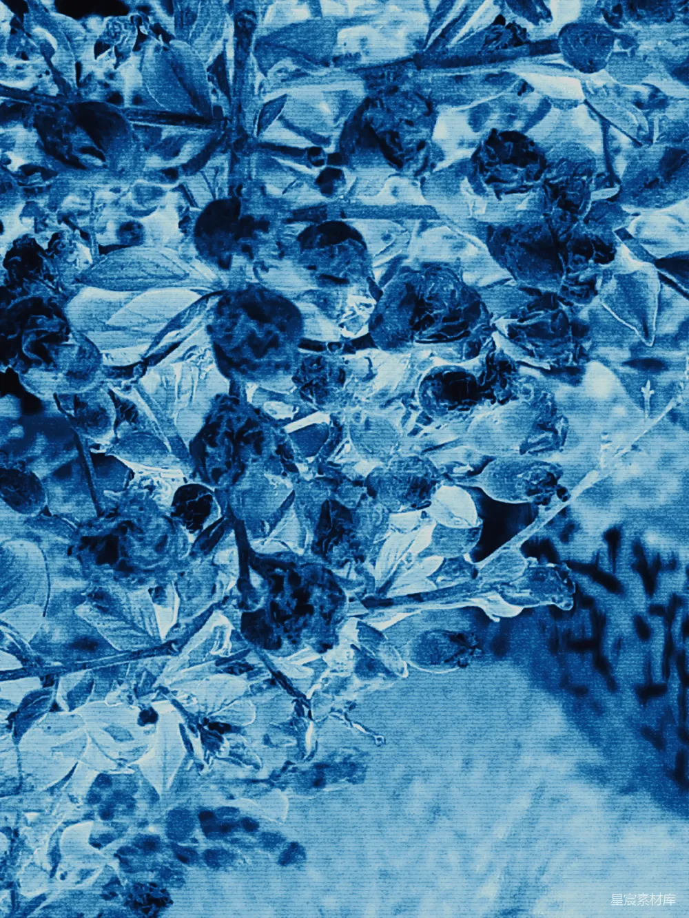 这张图片展示了一个抽象的蓝色植物图案，采用了水印风格的设计，深浅不一的蓝色调使得图案看起来富有深度和层次感。这种图案适合用于现代家居装饰、室内墙纸设计或作为艺术作品的背景。