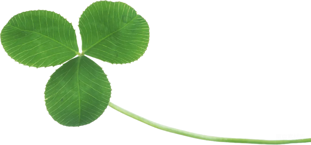 元素素材 PNG