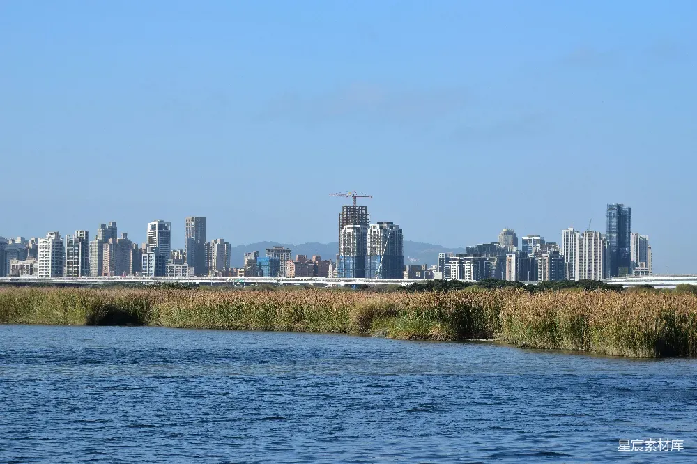 这张图片展示了城市与湿地的美景。前景是一片宁静的湿地，茂密的芦苇随风摇曳，后方则是现代化的城市天际线，高楼大厦与自然景观相映成趣。天空湛蓝，阳光明媚，给人一种宁静和谐的感觉。适合用于城市与自然和谐共生的宣传图片。