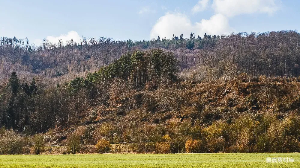 这张图片展示了一片秋天的山林，树木呈现出丰富的色彩，从深绿到橙黄。山脚下是一片广阔的田野，绿色的草地上点缀着黄色的秋叶，与远处的山脉形成鲜明对比。天空中飘着几朵白云，阳光透过树叶洒在地面上，整个场景显得宁静而美丽，适合用于秋季自然风光的宣传
