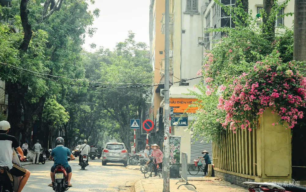 高清摄影 电影 马车和行人行走在树影婆娑的小街道上。
