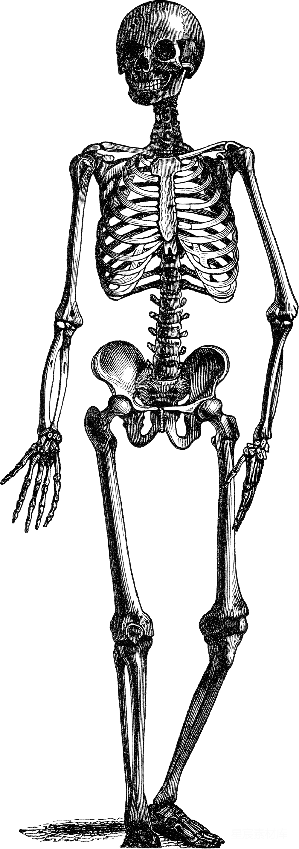 元素素材 元素 透明