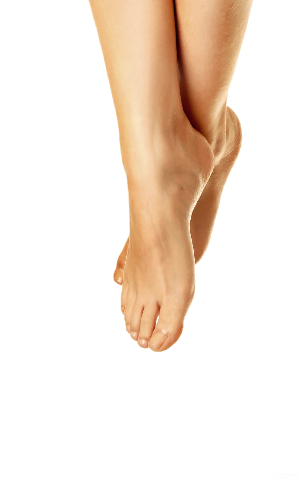 元素素材 元素 腿