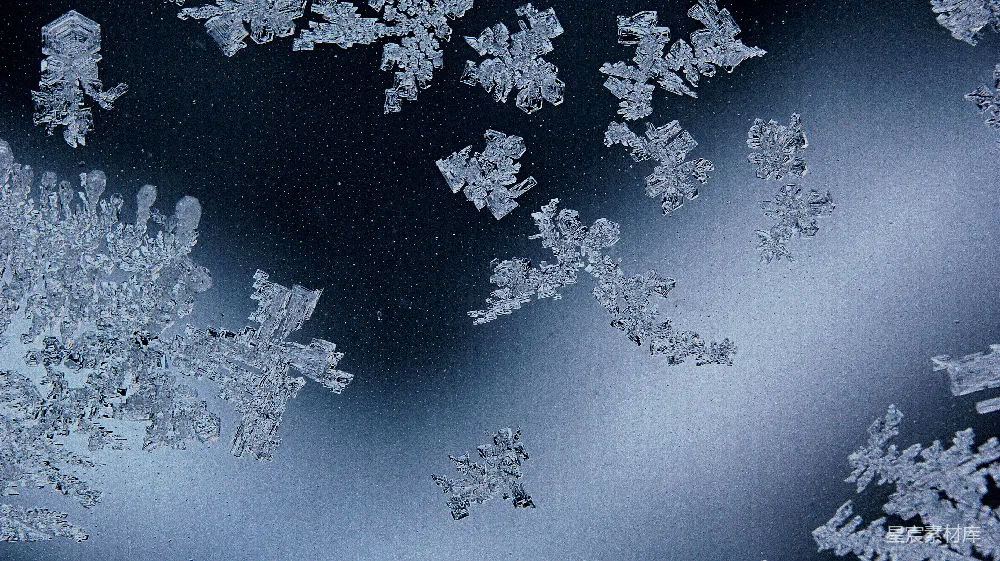 高清摄影  窗户上雪花的特写镜头