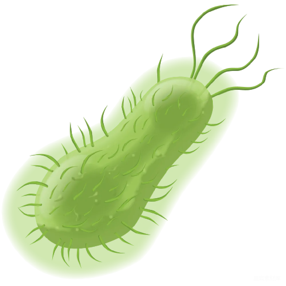 元素素材 PNG