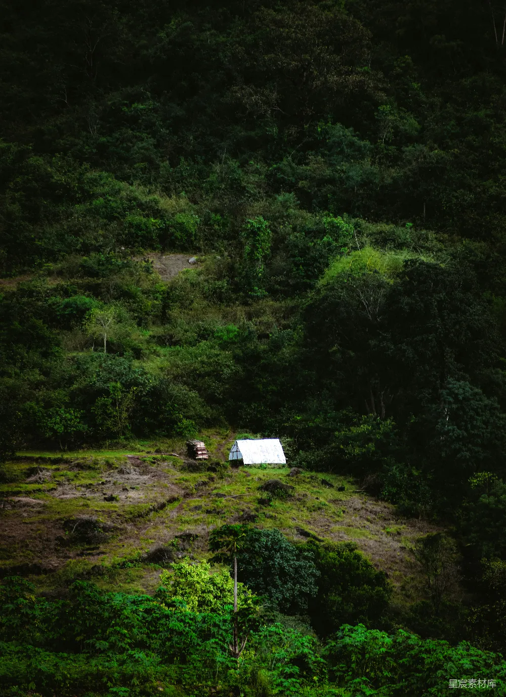 高清摄影 旅行 人物 壁纸 自然 树丛中的小屋