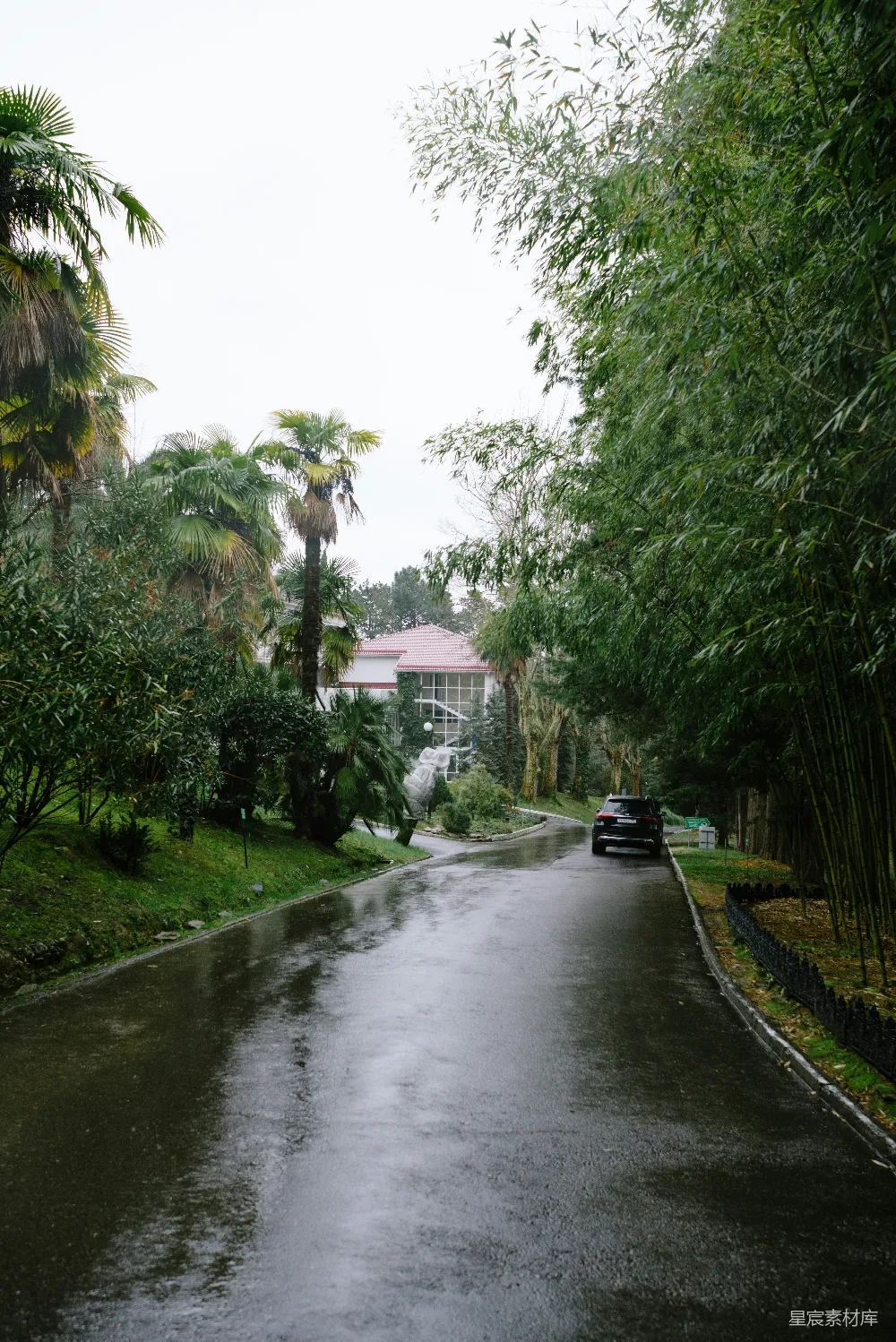 高清摄影  一辆车在湿漉漉的街道上行驶