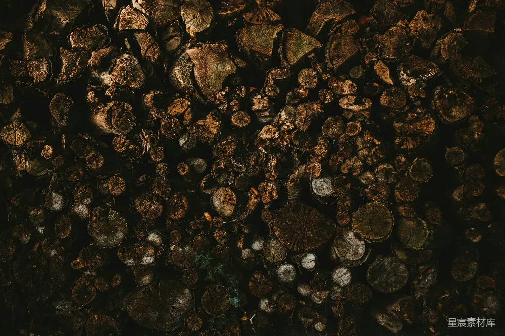 高清摄影 一堆木头堆在一堆泥土上面
