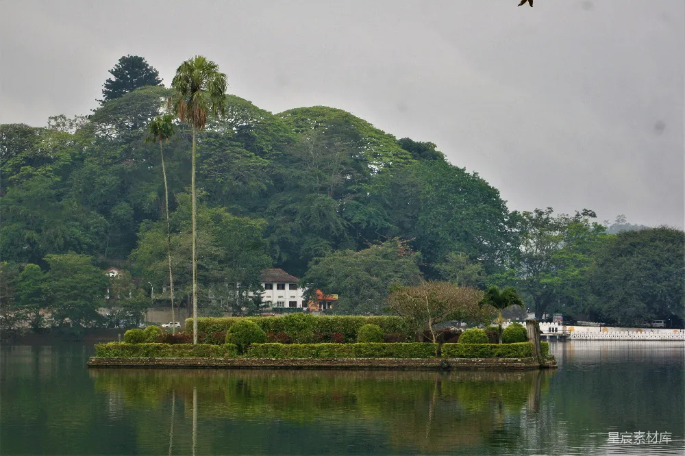 高清摄影 湖畔 热带风情 自然景观 休闲度假 生态旅游 湖中一座小岛上的房子