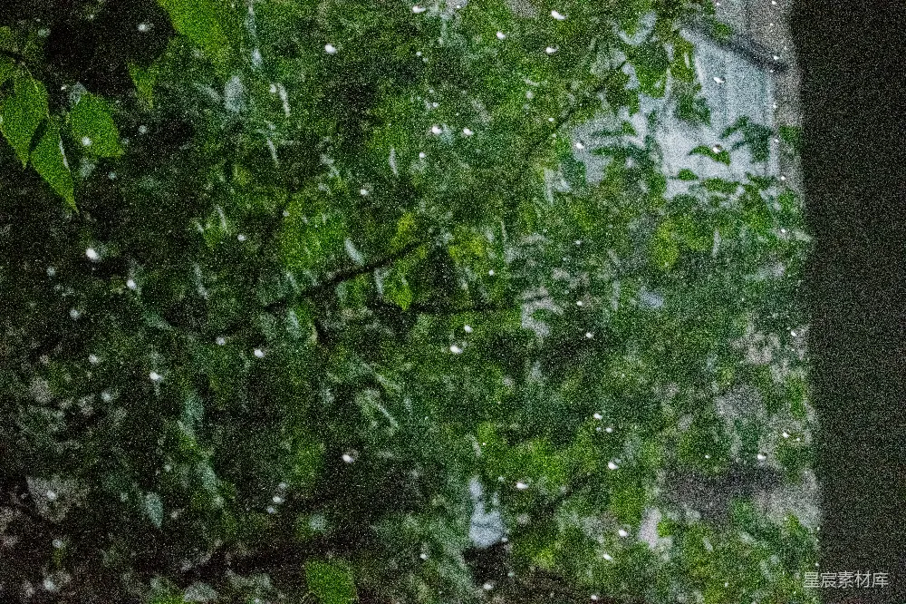 高清摄影  猫坐在窗台上，外面正在下雨。