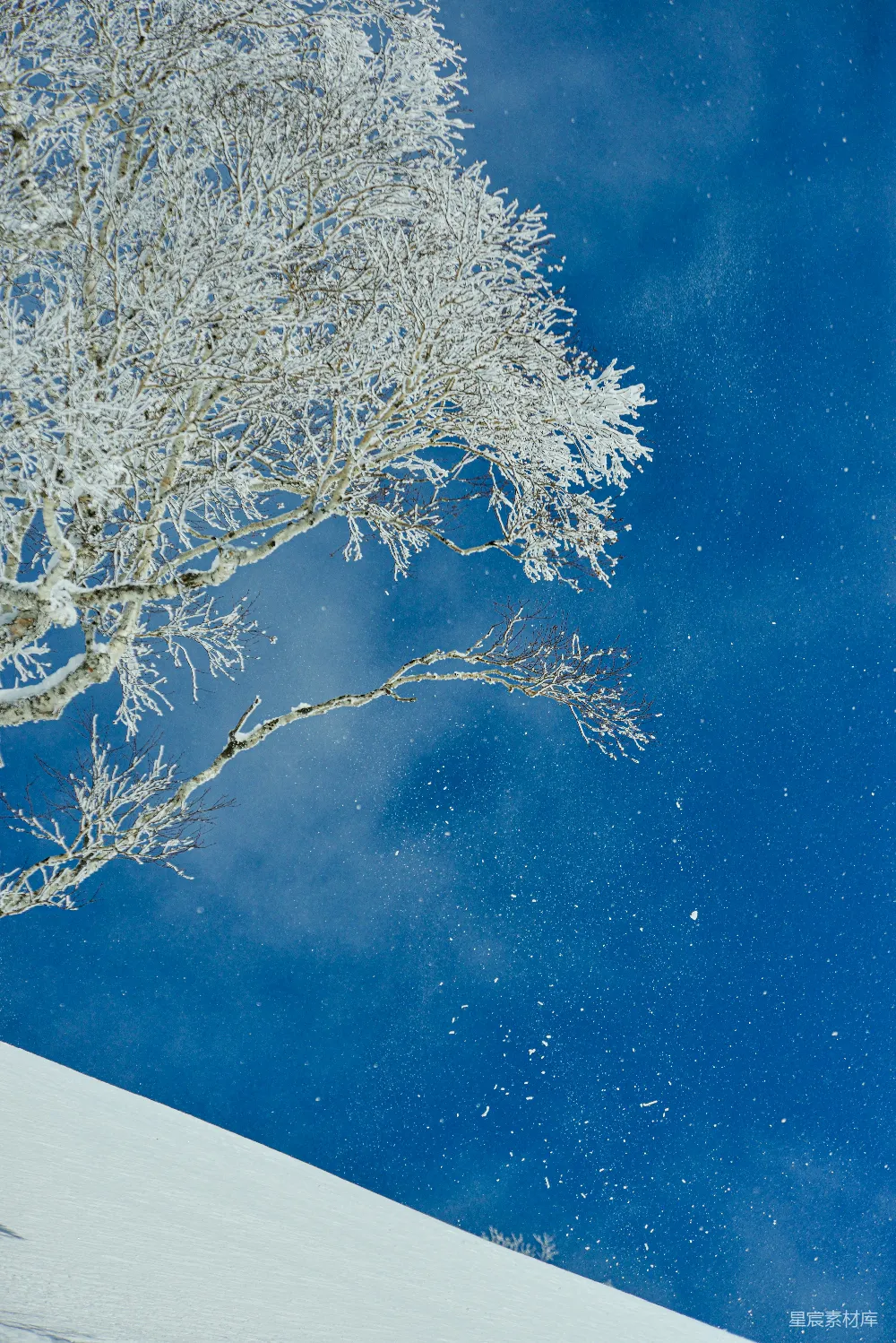 高清摄影 一个男人骑着雪板滑下覆盖着白雪的斜坡。