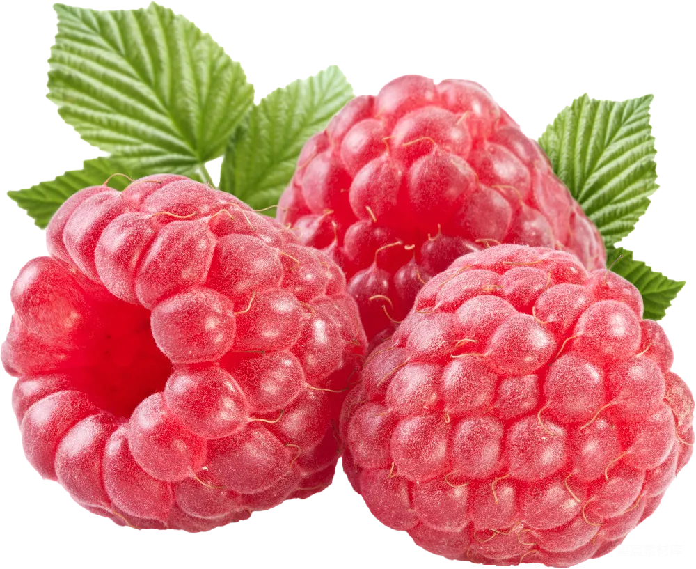 元素素材 元素 Raspberry