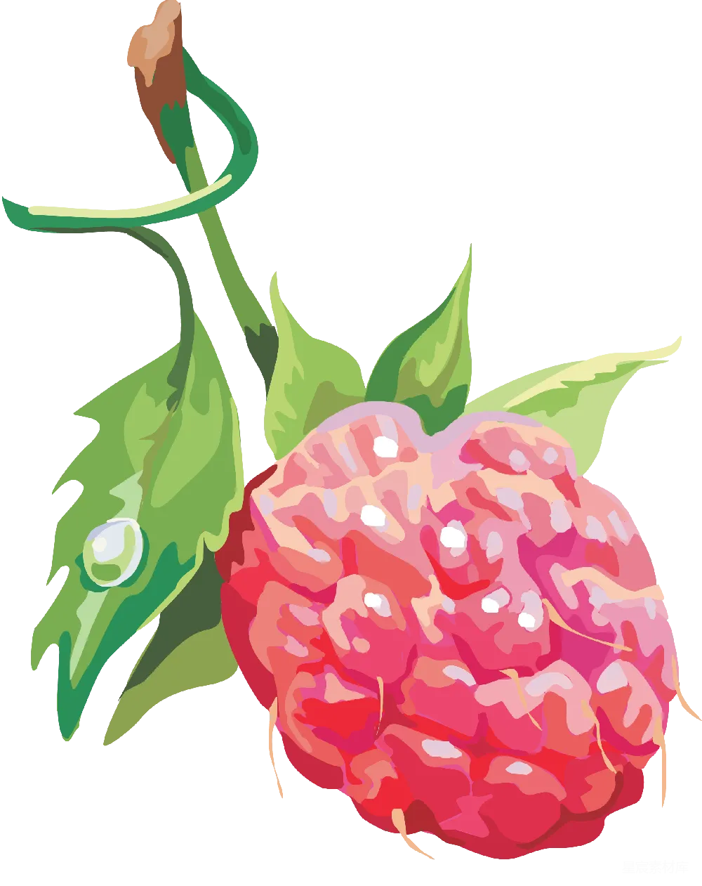 元素素材 元素 红 Raspberry