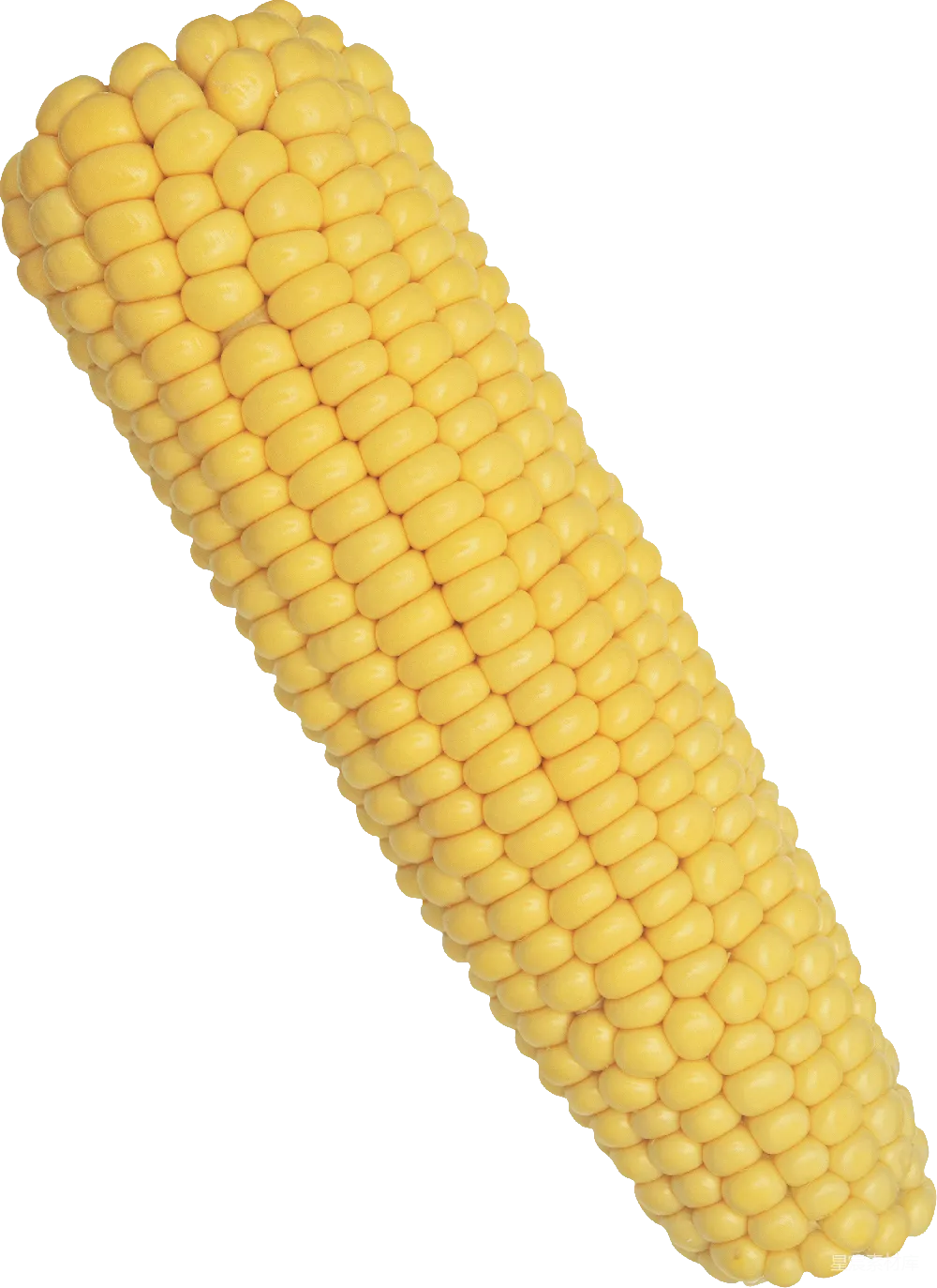 元素素材 PNG