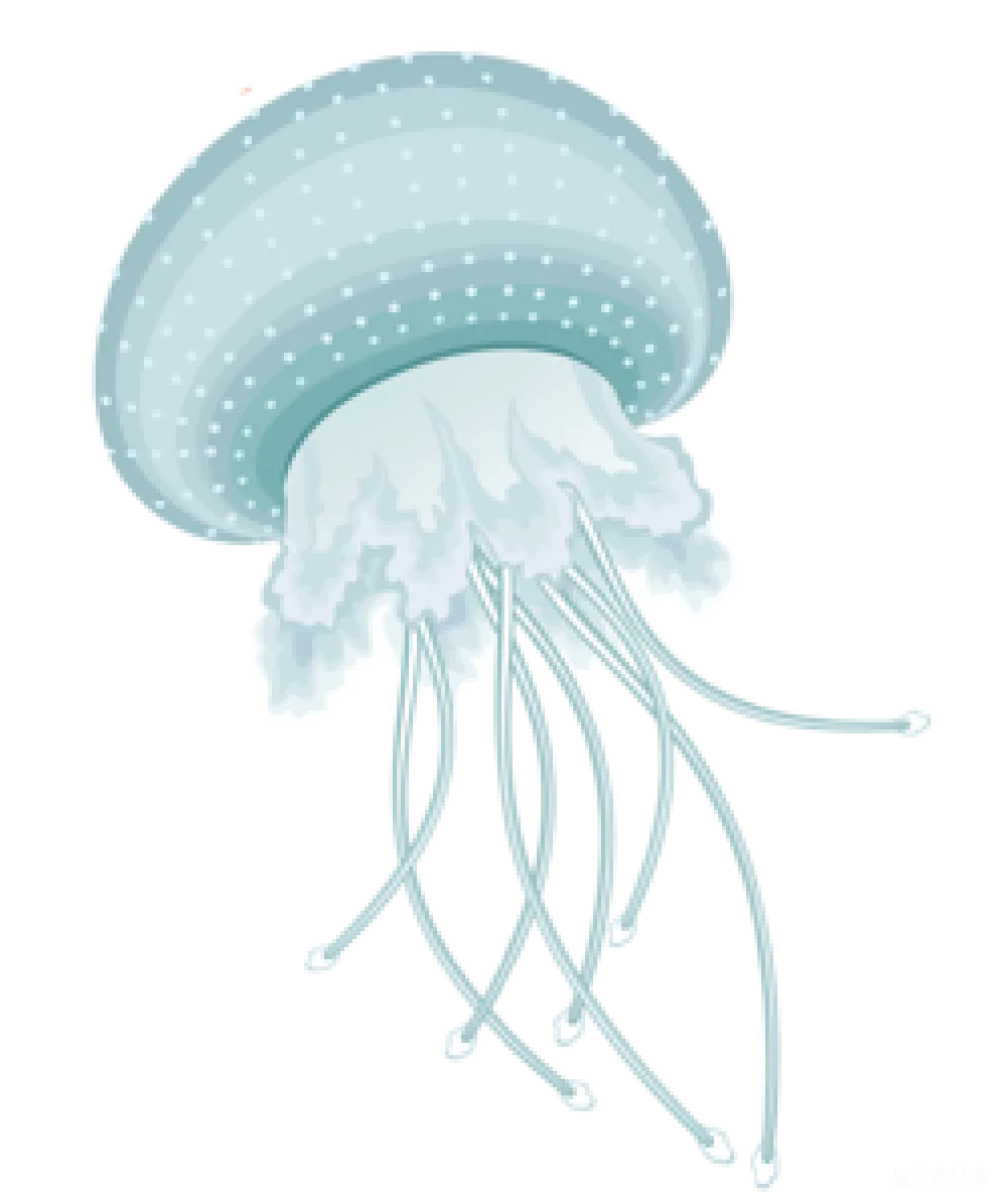 元素素材 海洋生物 插画 水下世界 水母插图