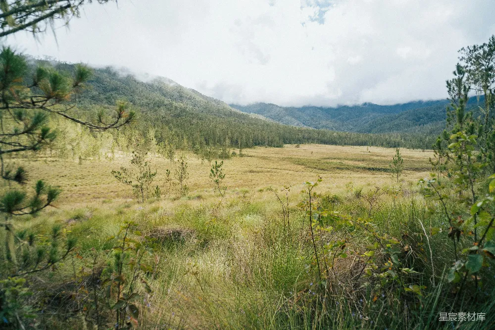 草地上的山丘背景