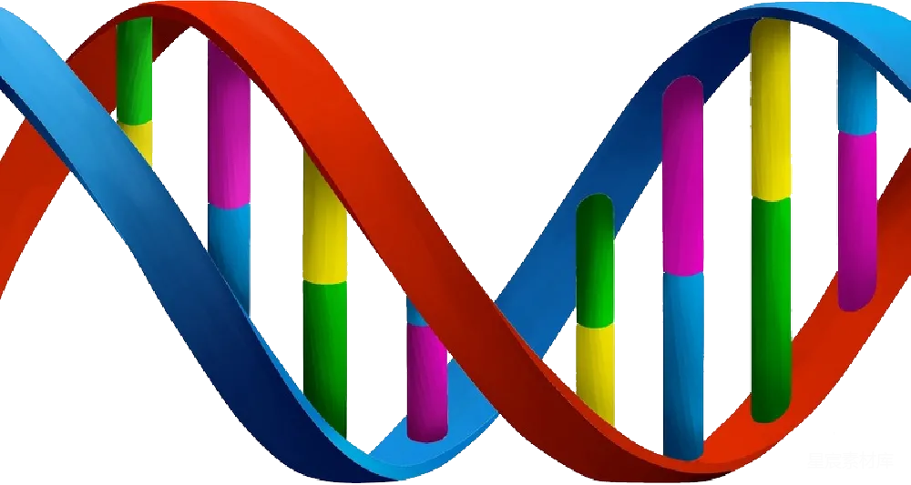 元素素材 元素 DNA