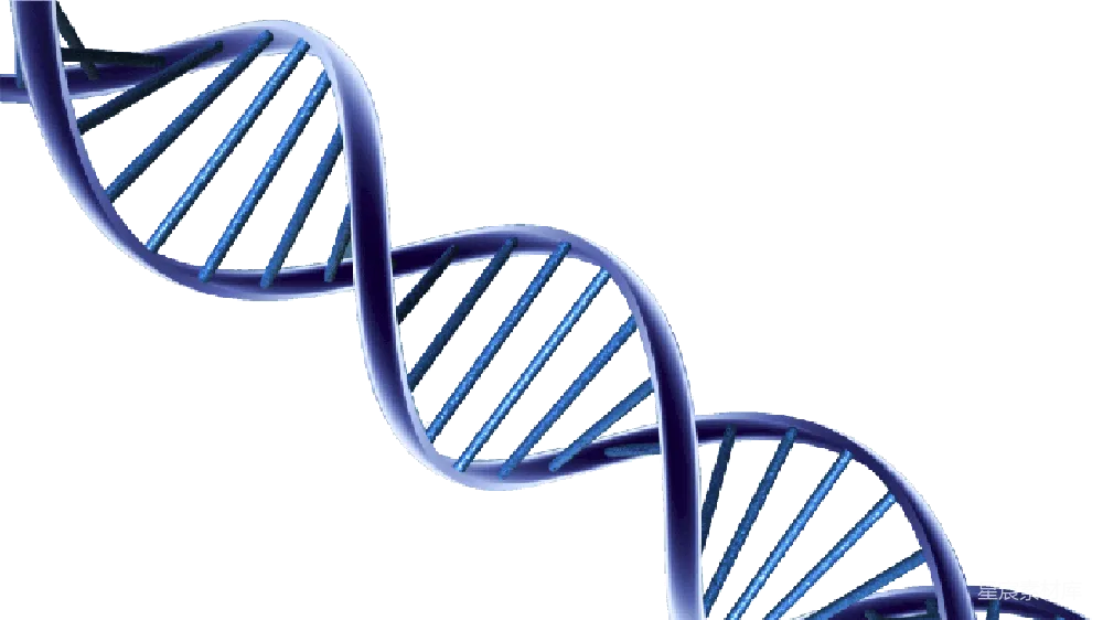 元素素材 元素 DNA