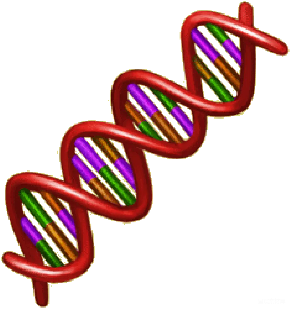 元素素材 DNA