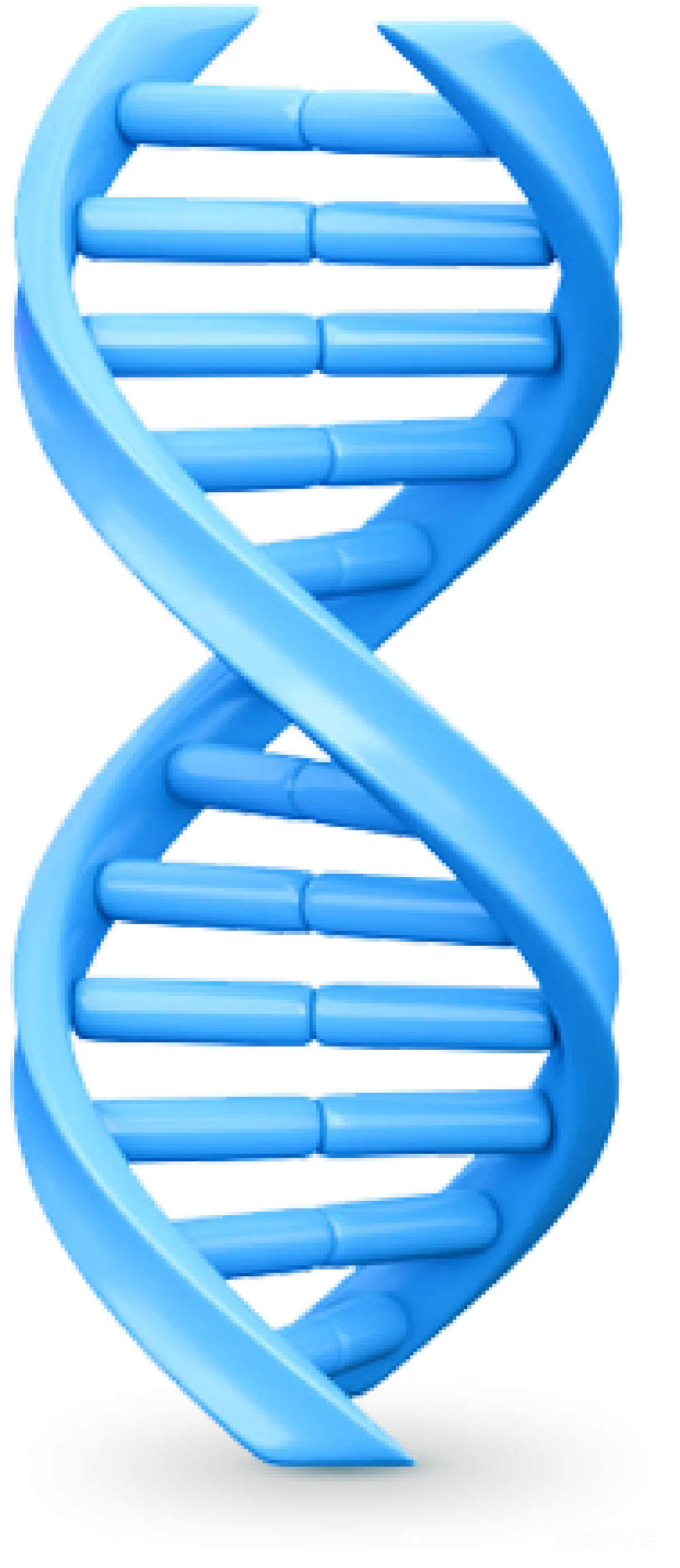 元素素材 元素 DNA
