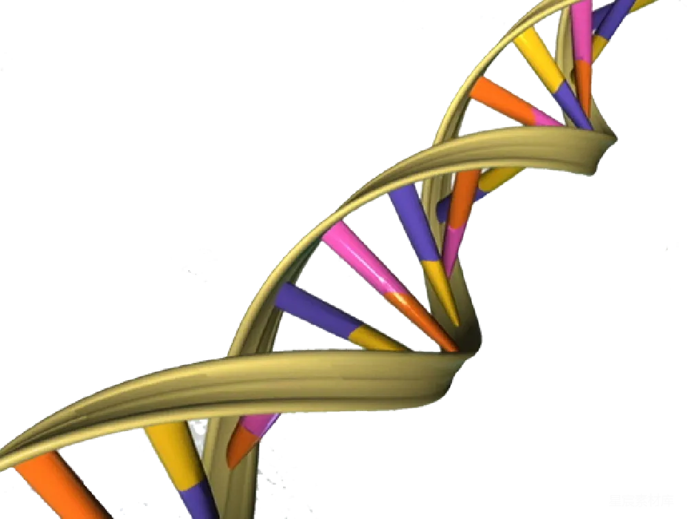 元素素材 元素 DNA
