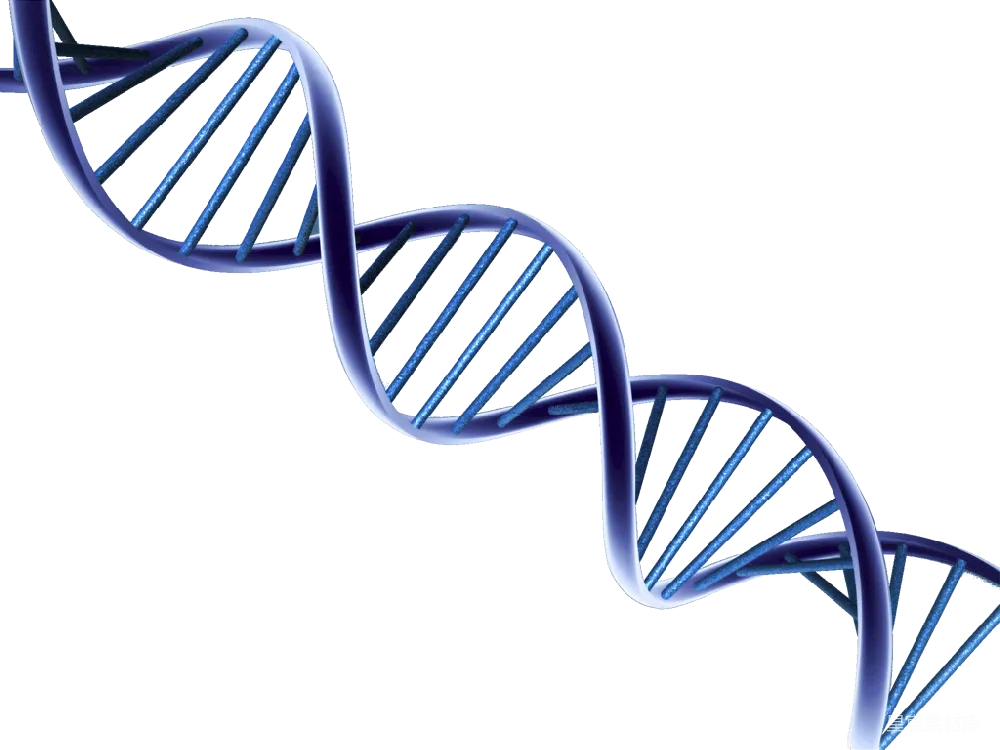 元素素材 生物科学 3D插图 遗传学 蓝色螺旋DNA结构