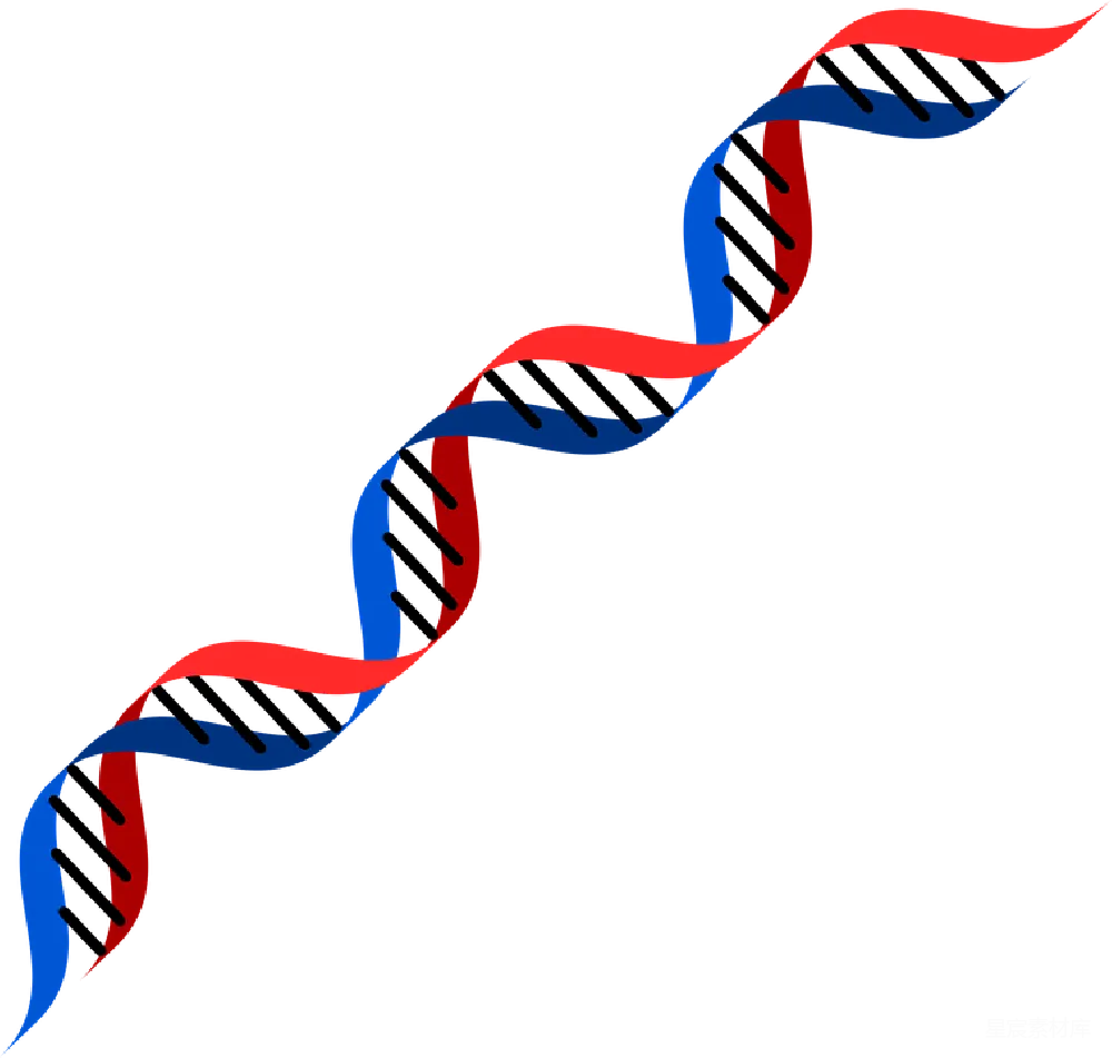 元素素材 DNA
