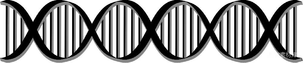 元素素材 科学 生物 教育 DNA螺旋结构
