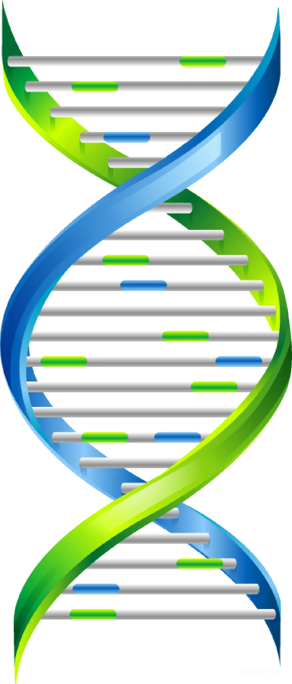 元素素材 元素 DNA