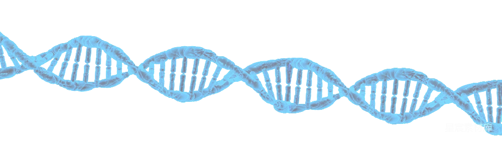 元素素材 元素 DNA