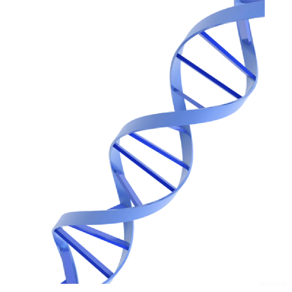 元素素材 元素 DNA
