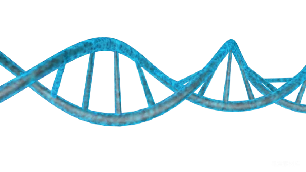 元素素材 DNA