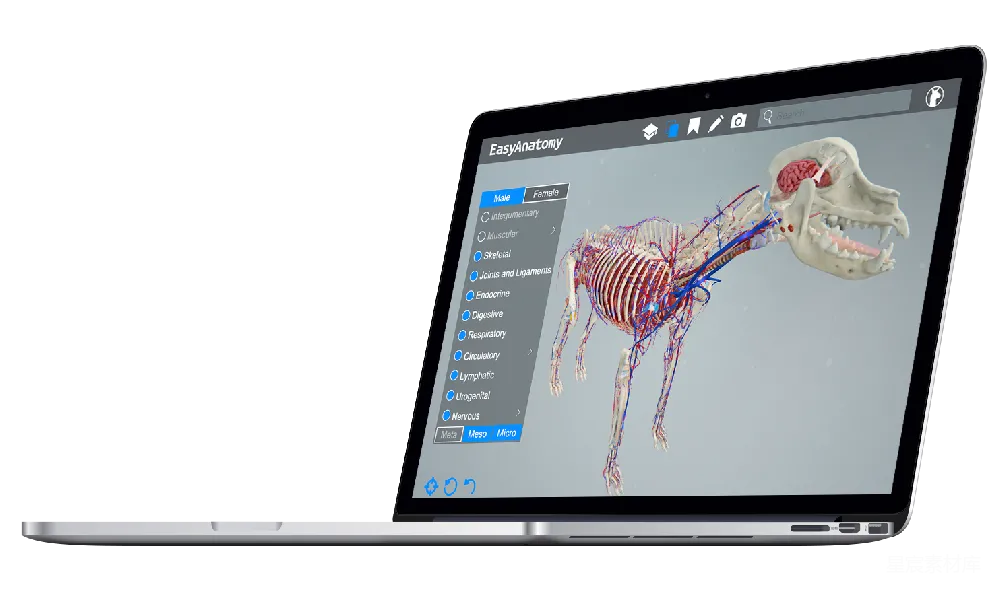 元素素材 MacBook
