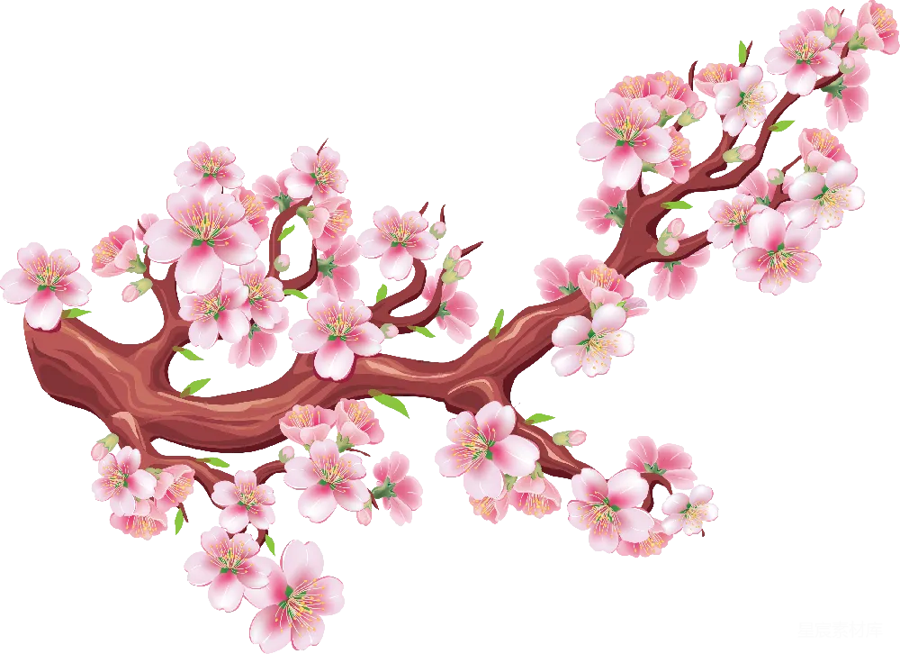元素素材 元素 樱花